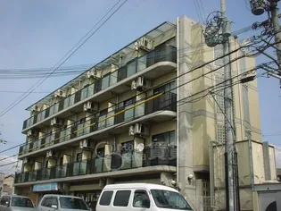 センチュリーショウエイVIIの画像