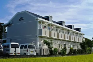 ゴールデンスピカの画像