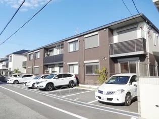 トマ ブルームの画像