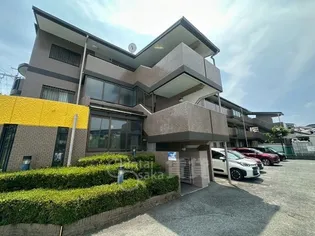 ジェンティールトータスの画像