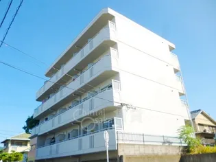 光ミノオパレス【4階】の外観