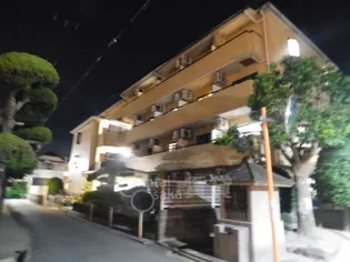 センチュリーショウエイIの画像