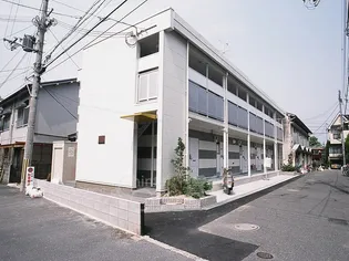 イシバシミナミの画像