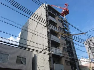 ラウレアの画像