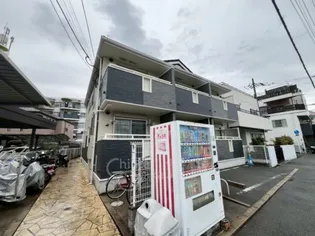 レインボーローズの画像