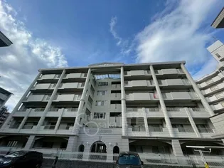 大阪府豊中市上新田3丁目【マンション】の外観