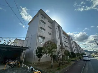 公社清和台住宅16号棟【2階】の外観