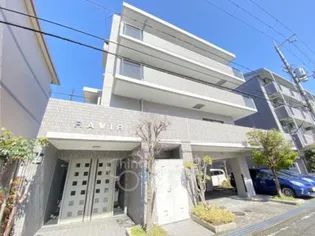 RAVIRの画像