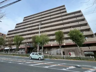 グラシュー森の画像