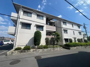 サンカルチャーの画像