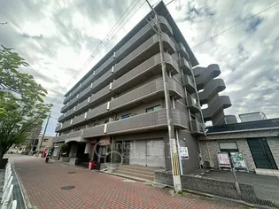 ヴィオラ千里の画像