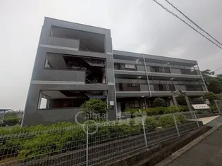 エクセル舞音の画像