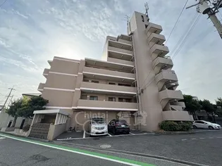 シュシュの画像
