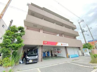エバーグレイスの画像
