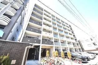 プリムローズ エレガントの画像