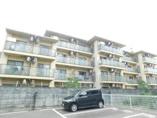 センチュリーショウエイⅤの画像