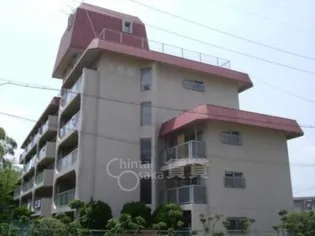 大阪府豊中市東泉丘1丁目【マンション】の外観