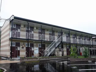 ピュアホワイトの画像