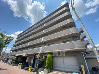 ヴィオラ千里の画像