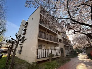 栄南団地4号棟の画像