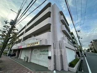 パルティール南が丘【4階】の外観