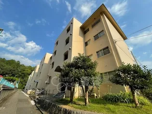 グリーンハイツ向陽4号棟の画像