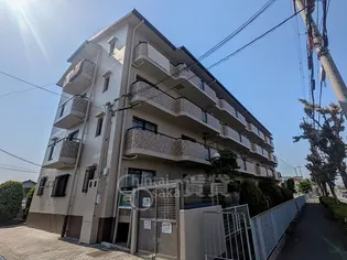 ハイツシャルマン【3階】の外観