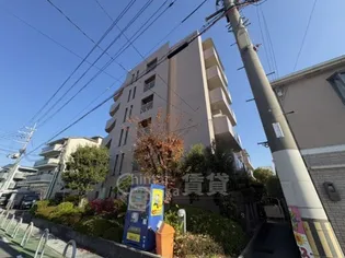 ハイムヤノウの画像