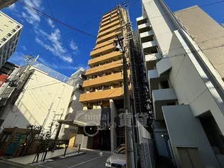 CASSIA TSUKAMOTOの画像