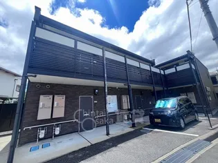 レオネクストファレノプシス上野の画像