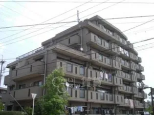 メゾン稲津【4階】の外観