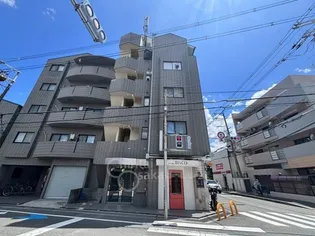 フェリシモ96の画像