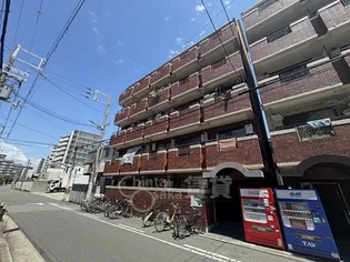 ルネッサンスロザリアの画像