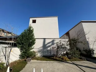 リュエル ノールの画像