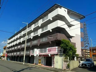 大阪府大阪市東淀川区南江口2丁目【マンション】の外観