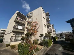 いかはなハイツB棟【4階】の外観