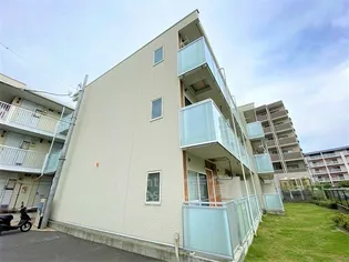 レオネクストななみの画像