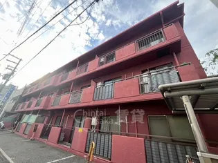 セザール服部の画像