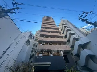 CASSIA TSUKAMOTOの画像