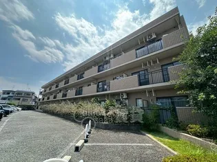 DEAR COURT明の春の画像