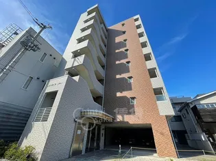 サイプレス ワンの画像