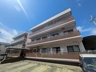 アセンブリー華の画像