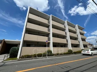 シャトレ秋桜の画像