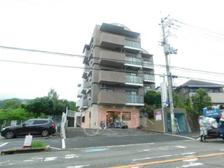 サントラピーヌの画像