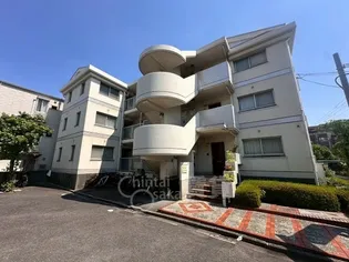 ゼンコウコーポラス6の画像