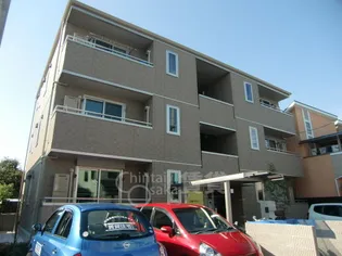 プルメリアの画像