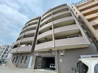 ハピネスの画像