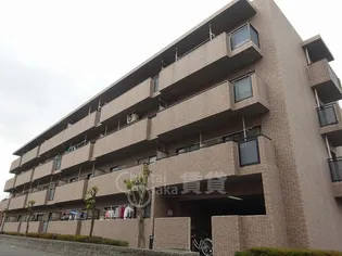 サウスファームの画像