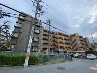 アンデュノール千里の画像