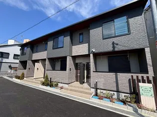 ルミナス光の画像